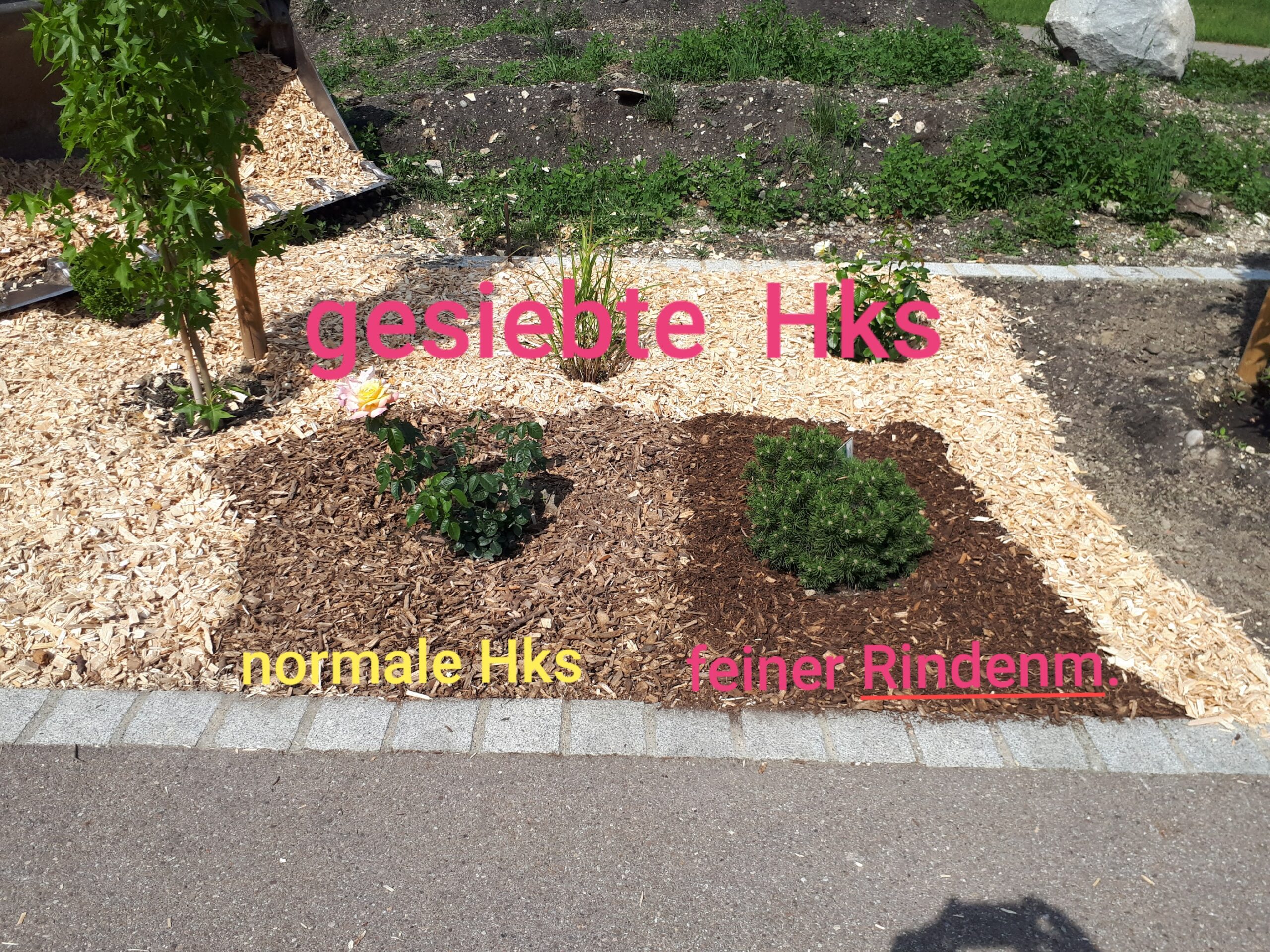 Hackschnitzel_GeruestbauPelzerGmbH